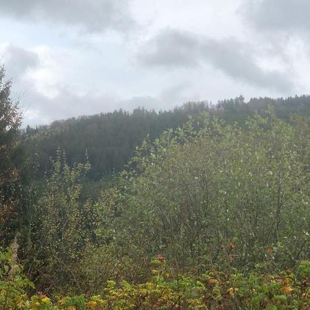 Fewo Berg Idyllika 빌링겐 외부 사진