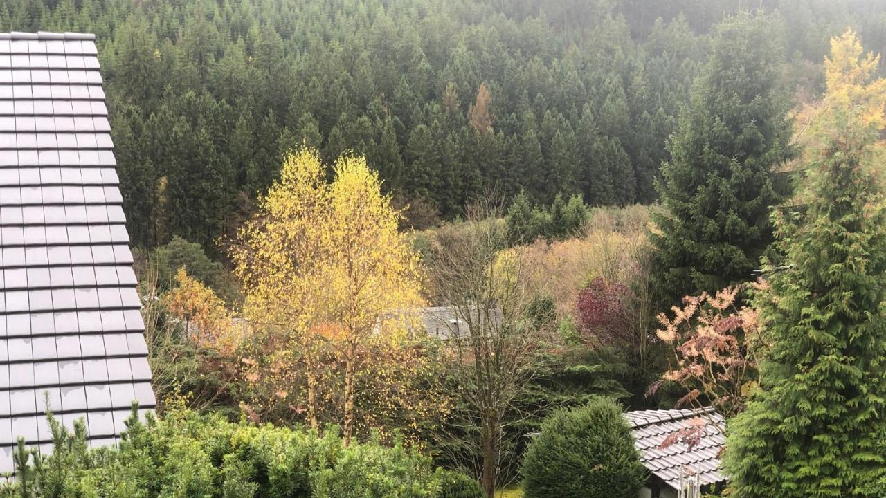 Fewo Berg Idyllika 빌링겐 외부 사진