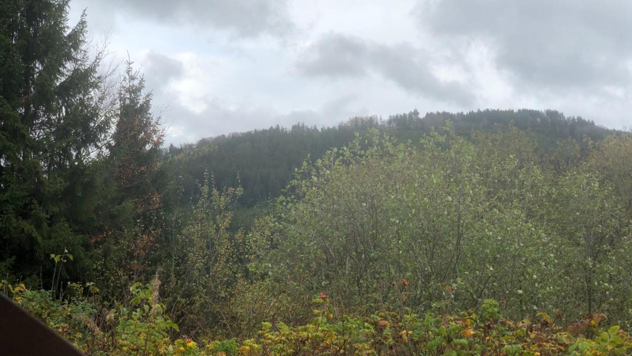 Fewo Berg Idyllika 빌링겐 외부 사진