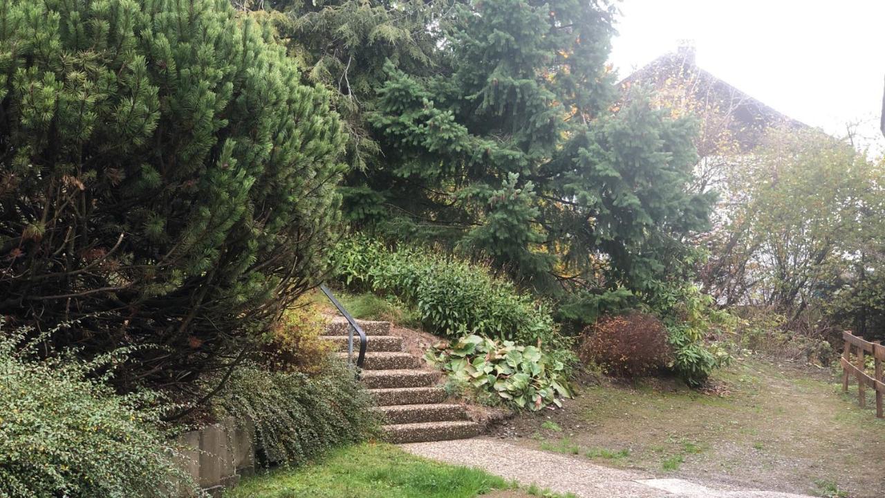 Fewo Berg Idyllika 빌링겐 외부 사진